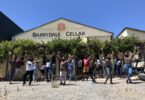 Barrydale Hand Weavers Cellar