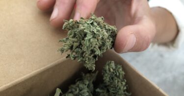 Montagu Cannabis