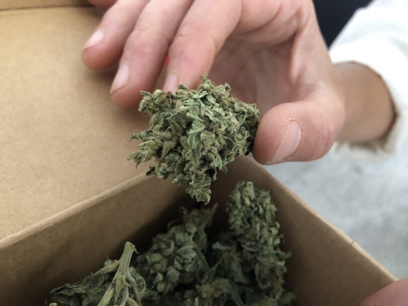 Montagu Cannabis