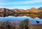 Barrydale Leiwater Dam: Picture: Doris Nadler