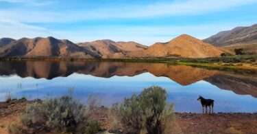 Barrydale Leiwater Dam: Picture: Doris Nadler