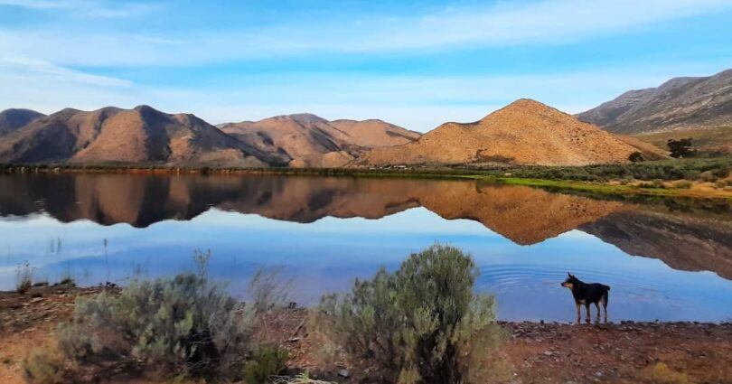 Barrydale Leiwater Dam: Picture: Doris Nadler