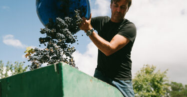 Meyer Joubert