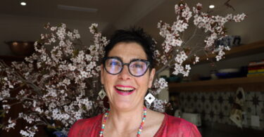 Terry de Vries