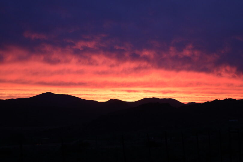 Ladismith